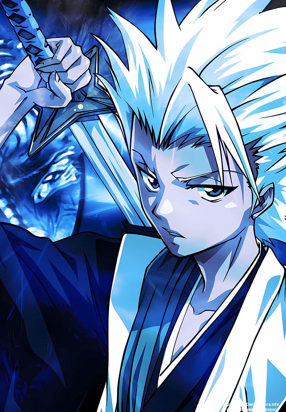Hitsugaya Bleach Anime Poster