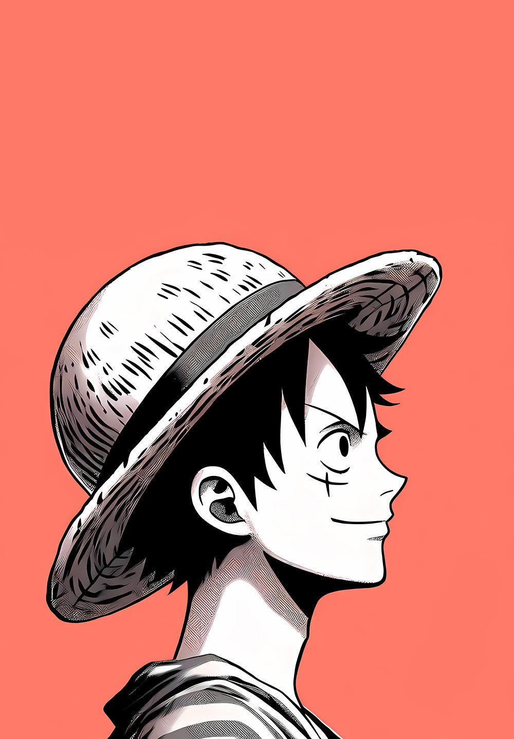 Monkey D. Luffy One Piece Poster