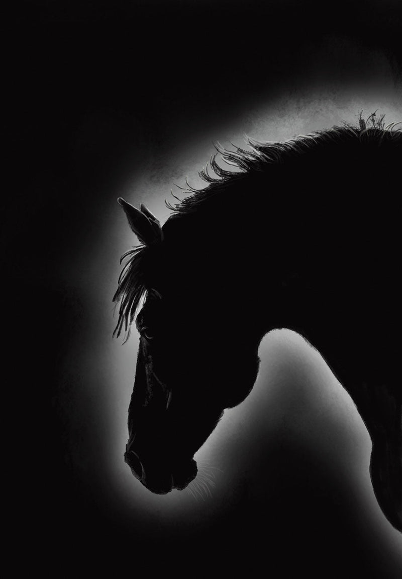 Horse Silhouette nature metal poster on stainless steel by Chromaplate