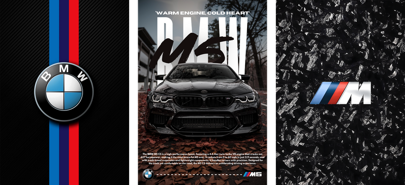 M Power Collection car metal poster on stainless steel by Chromaplate