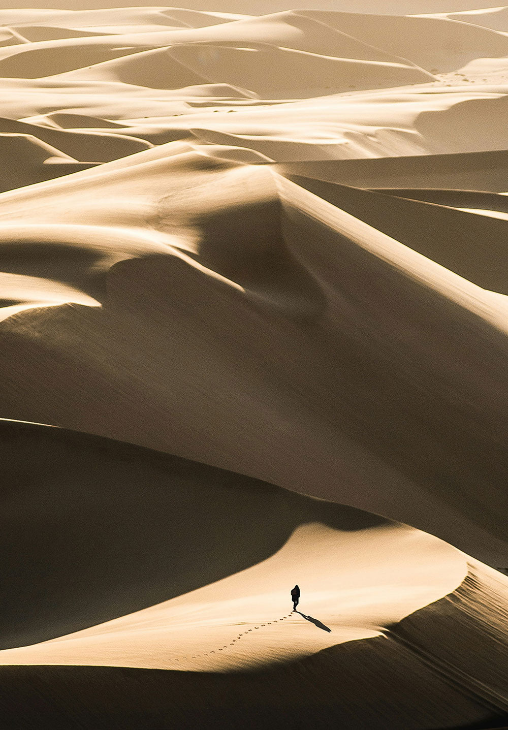 Desert Poster