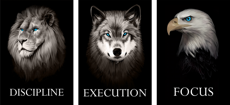 Primal Discipline Collection motivational metal poster on stainless steel by Chromaplate