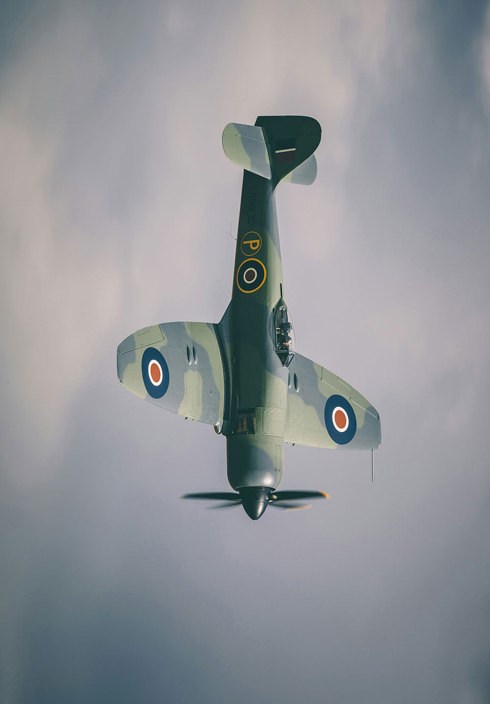 Hawker Sea Fury Mk.II Airplane Poster