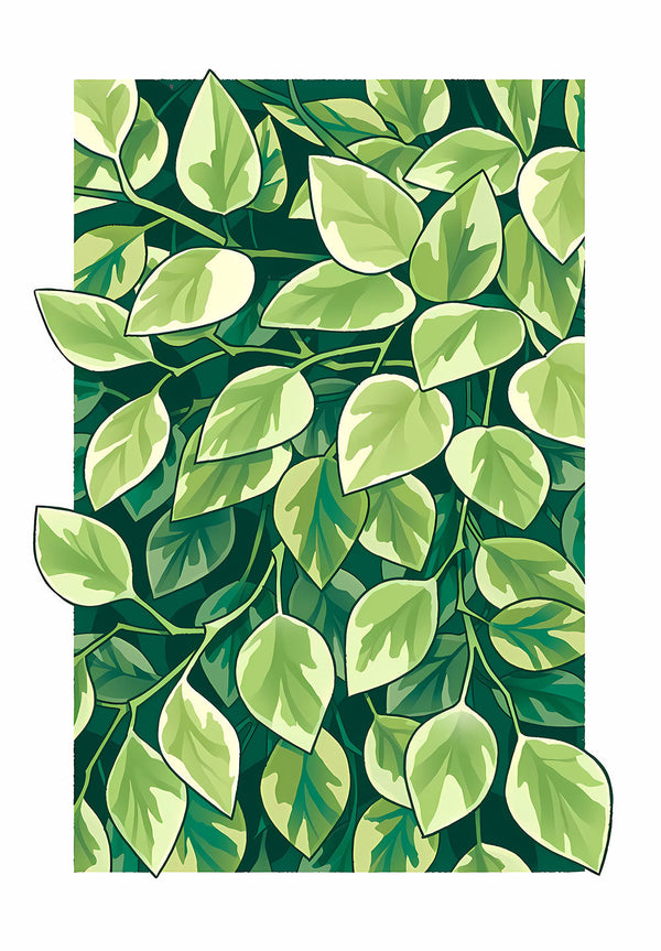 Green Leaves Plants Poster