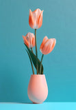 Pink Tulip
