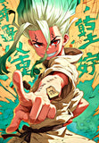 Dr. Stone