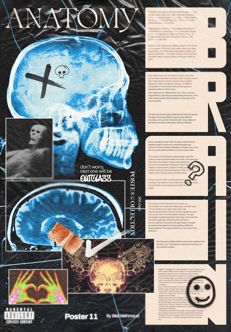 Brain Anatomy wall metal poster on stainless steel by Chromaplate