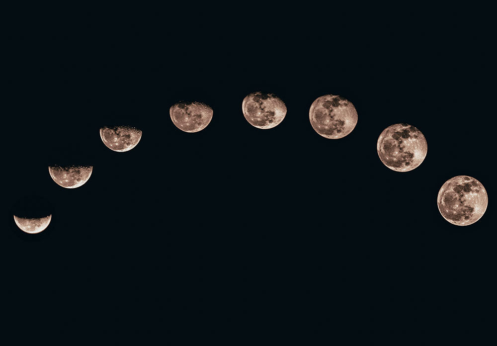Lunar Eclipse Phases
