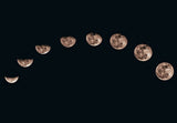 Lunar Eclipse Phases
