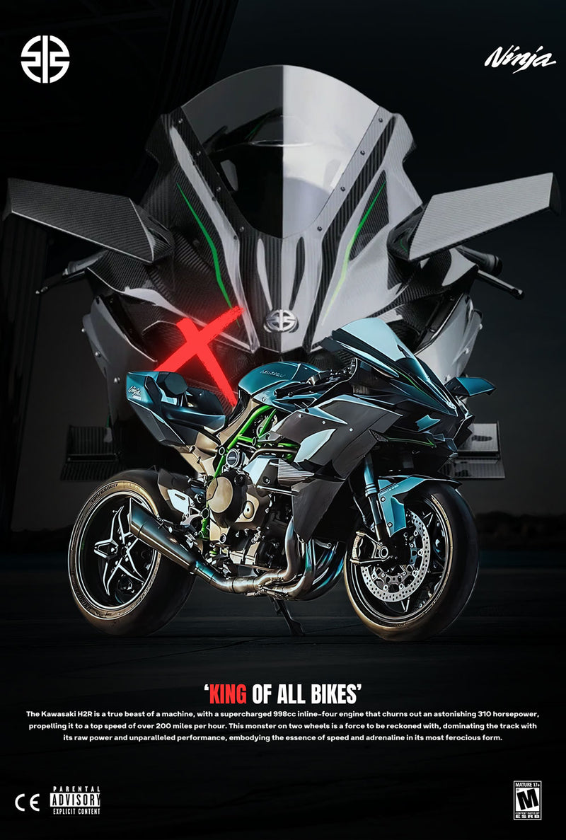 Kawasaki Ninja H2R 2 car metal poster on stainless steel by Chromaplate