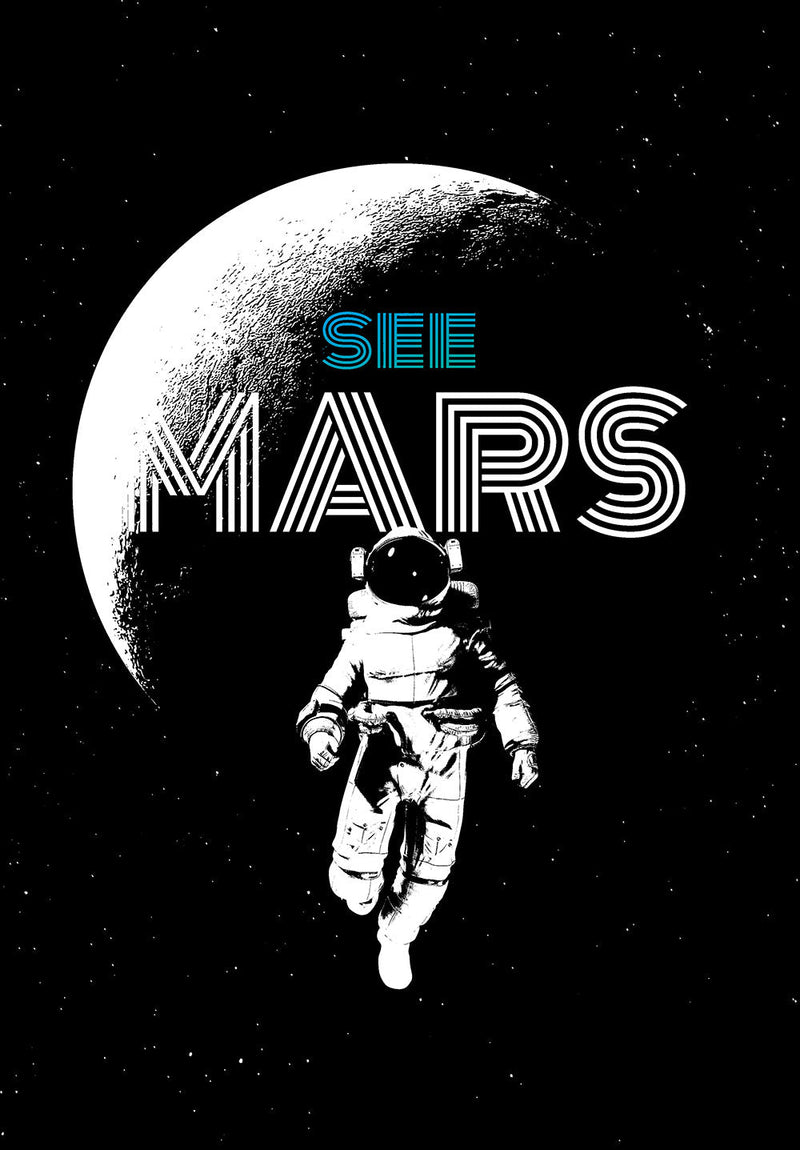 Mission to Mars space metal poster on stainless steel by Chromaplate