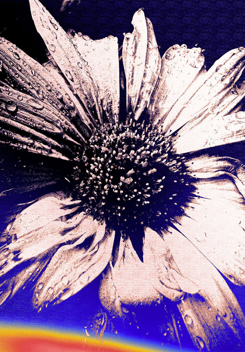 Petals of Paradox space metal poster on stainless steel by Chromaplate