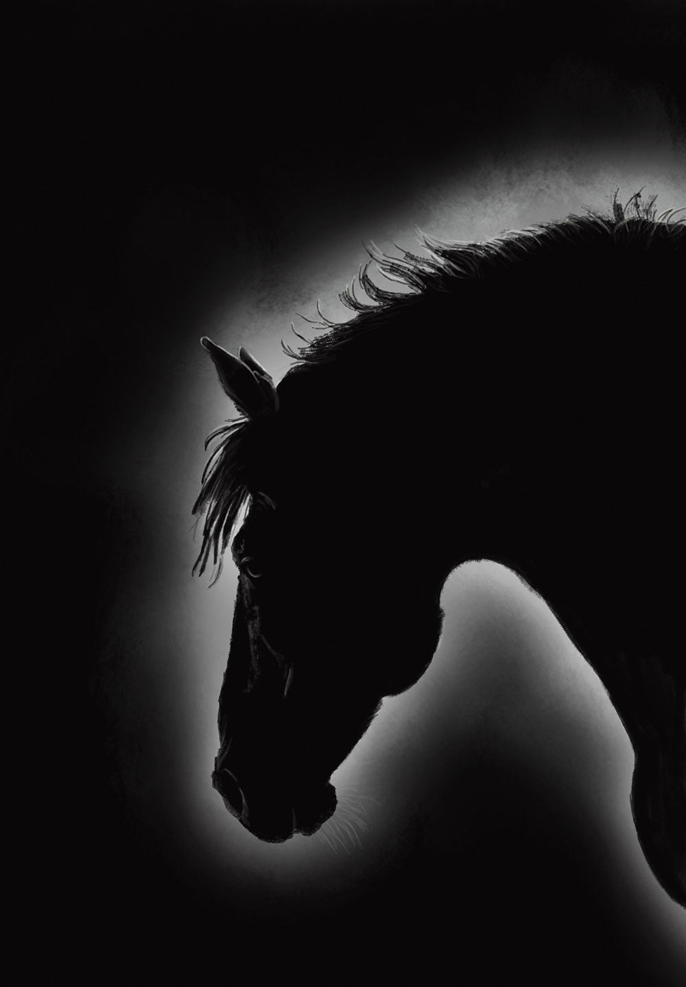 Horse Silhouette Poster