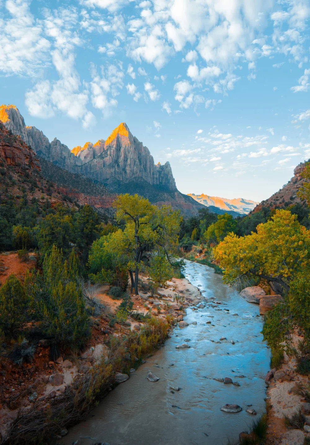 Zion Canyon River