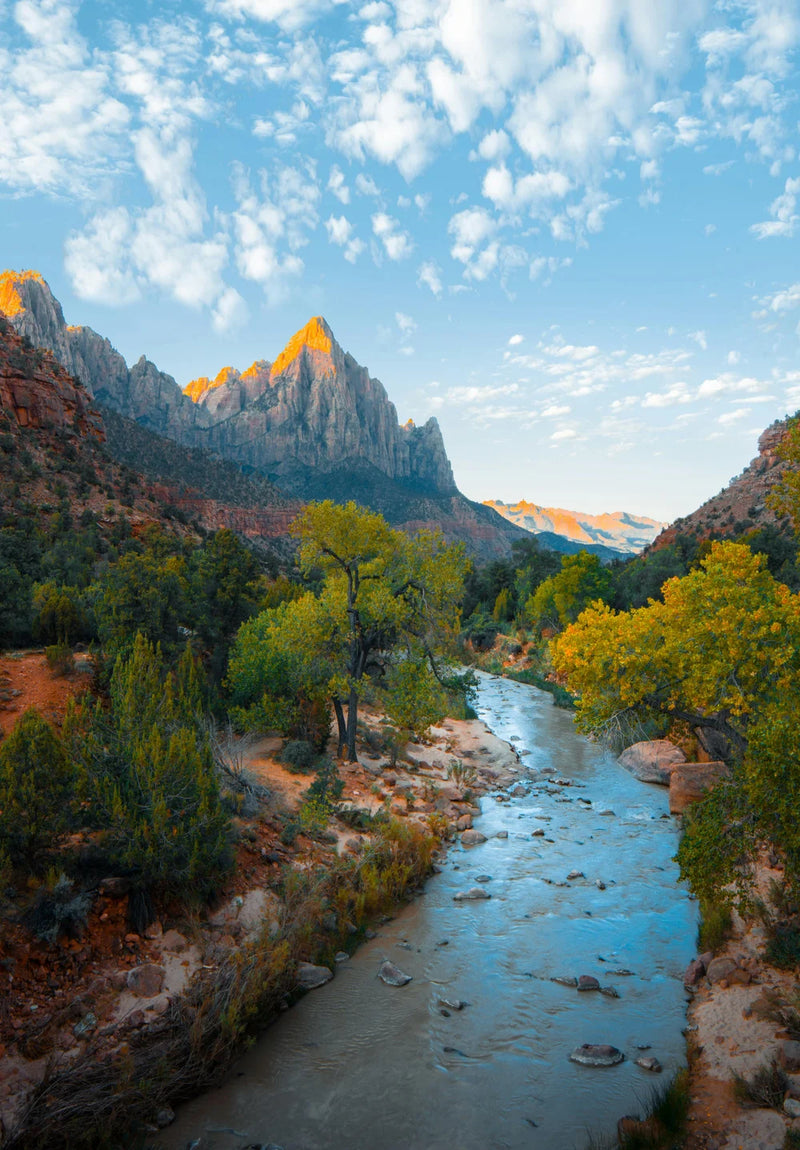 Zion Canyon River
