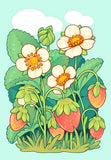 White Flower
