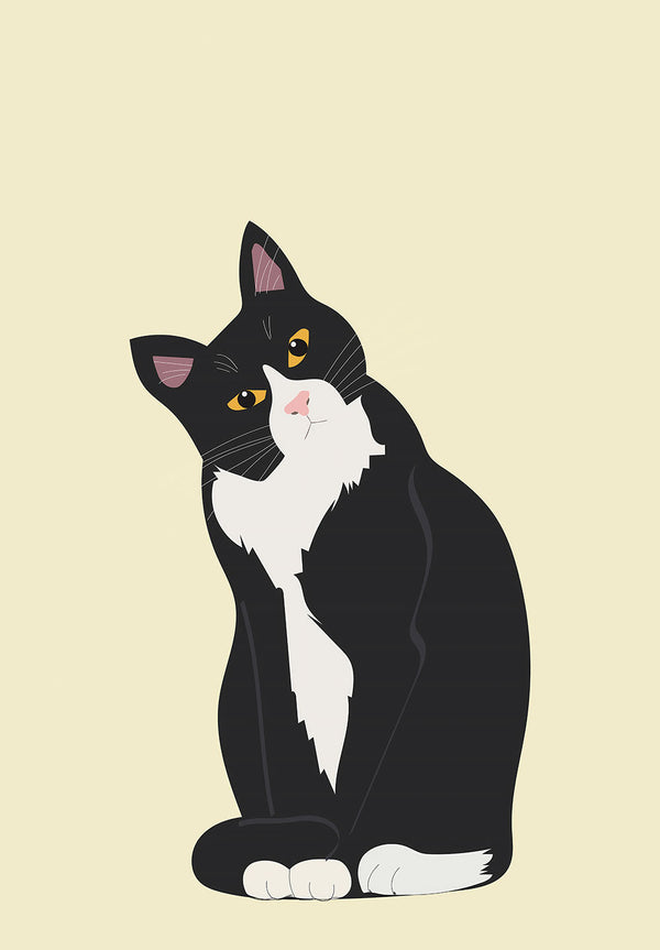 Tuxedo Cat Illustration Poster