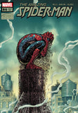 The Amazing Spider-Man Comic Poster