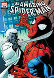The Amazing Spider-Man Comic Poster