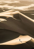 Desert Nature Wall Art