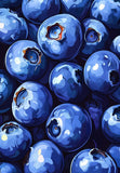 Fresh Blue Berries Pattern Poster