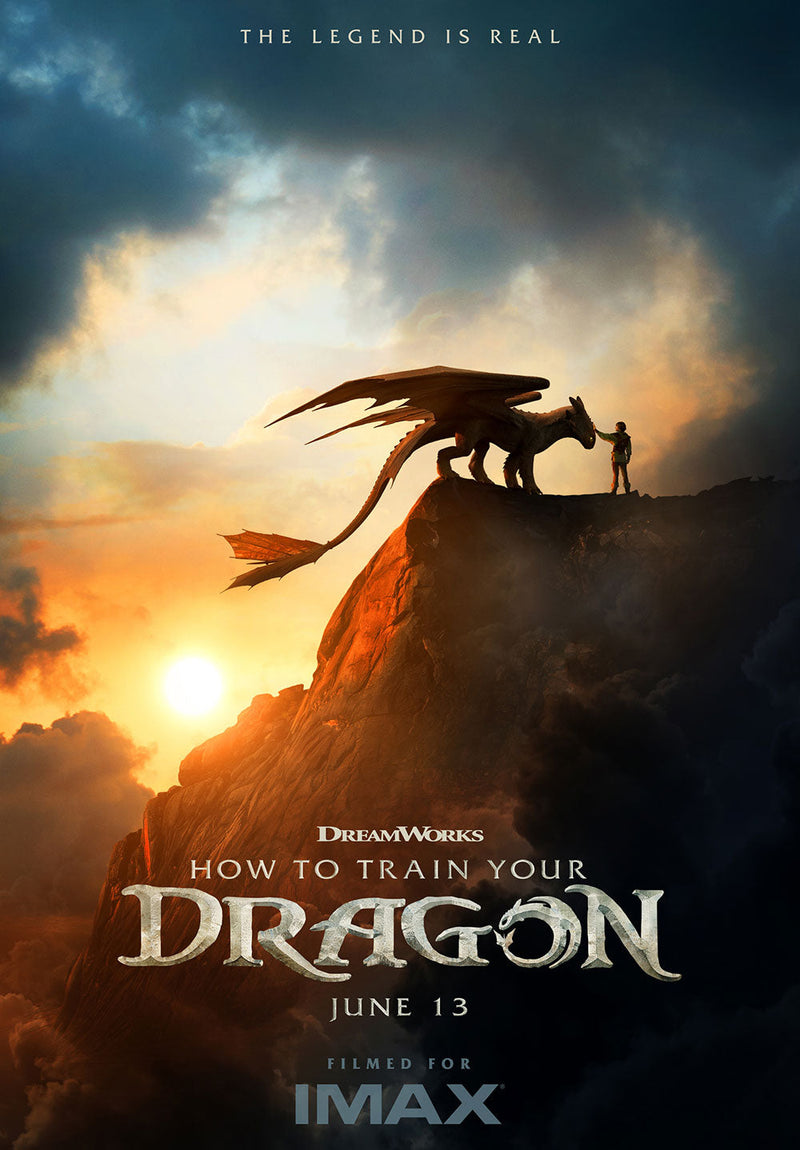 How to Train Your Dragon movie metal poster design 02 on stainless steel by Chromaplate