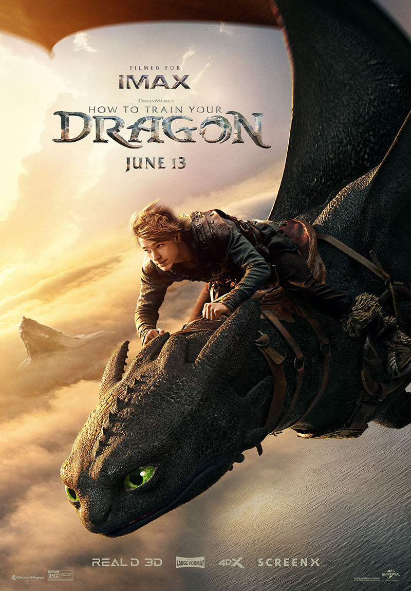 How to Train Your Dragon movie metal poster design 01 on stainless steel by Chromaplate