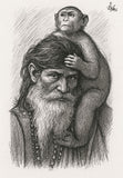 Old Man & Monkey  Poster