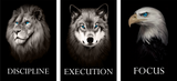 Primal Discipline Collection