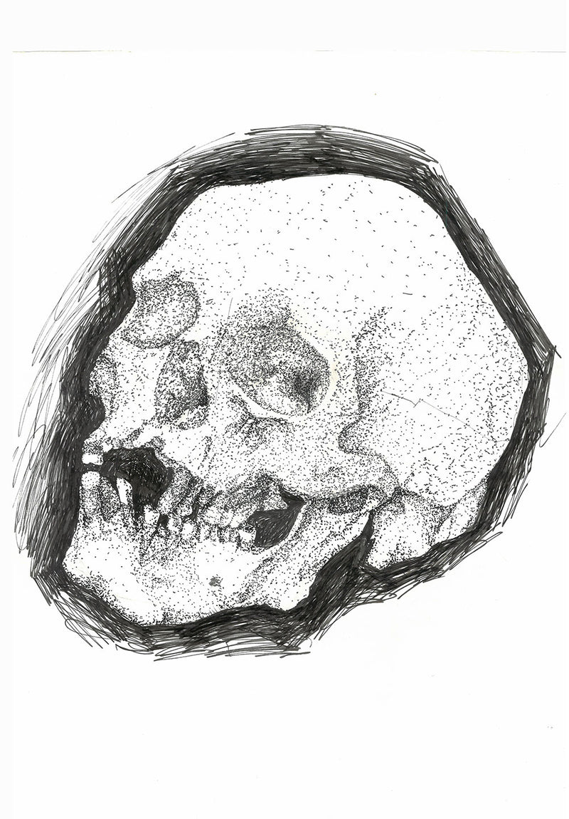 Skull Modern Wall Art wall metal poster on stainless steel by Chromaplate