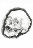 Skull Poster