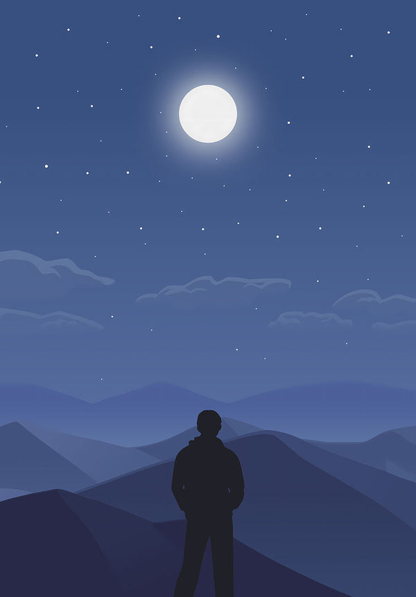 Desert Night Illustration Poster