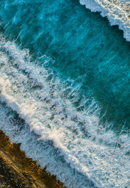 Beach Nature Poster