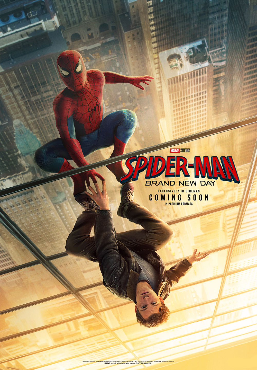 Spider-Man Brand New Day Movie Poster