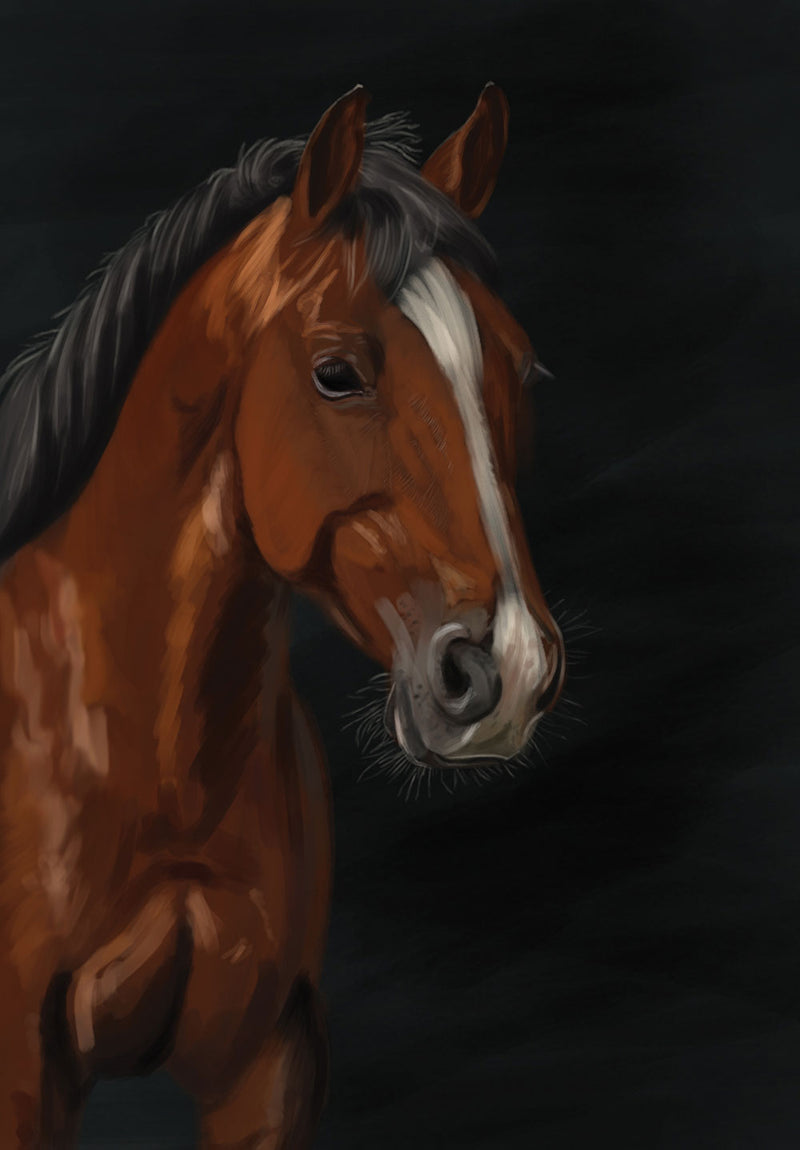 Horse Portrait - Brown nature metal poster on stainless steel by Chromaplate
